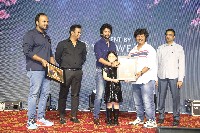 Hi Nanna Movie Success Celebrations Photos